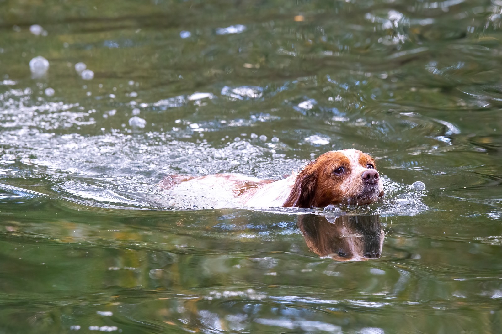 Erfolgreiche Prüfungssaison